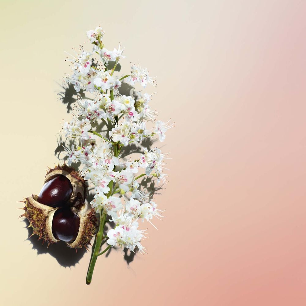 Clarins Nutri Lumiere Day Cream