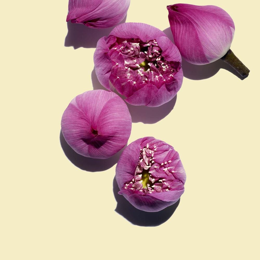 Clarins Lotus Face Treatment Oil