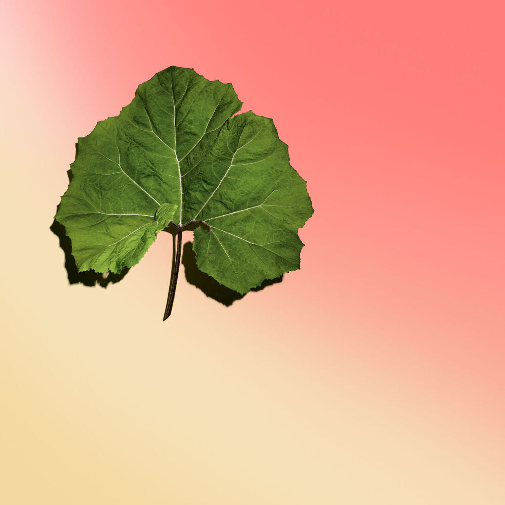 Clarins Body Firming Cream 200ML