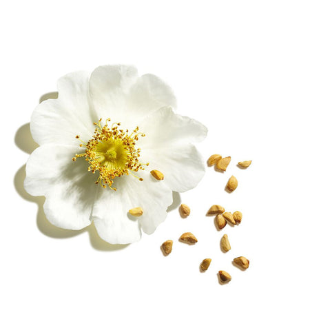 Clarins Lip Oil Balm 05 2.9G